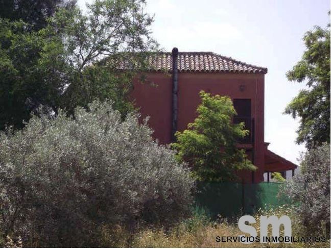 plot for sale marchena